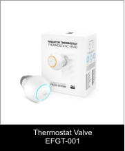 Thermostat Valve EFGT-001