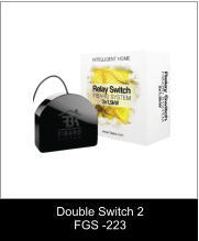 Double Switch 2 FGS -223