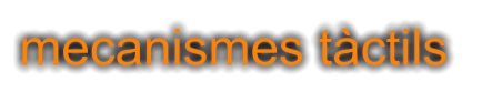 mecanismes tàctils